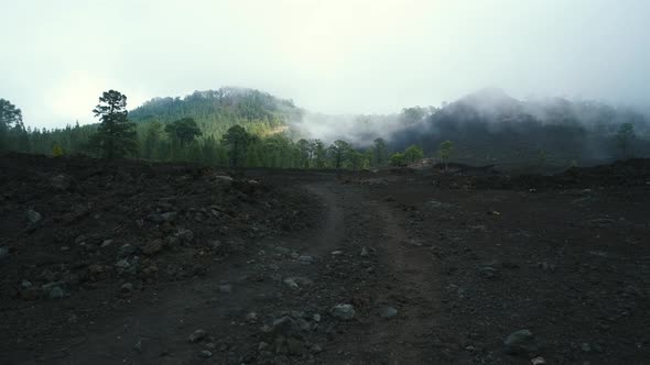 Dramatic Landscape on the Way to the Chineyro Volcano Through a Coniferous Forest on Lava in the