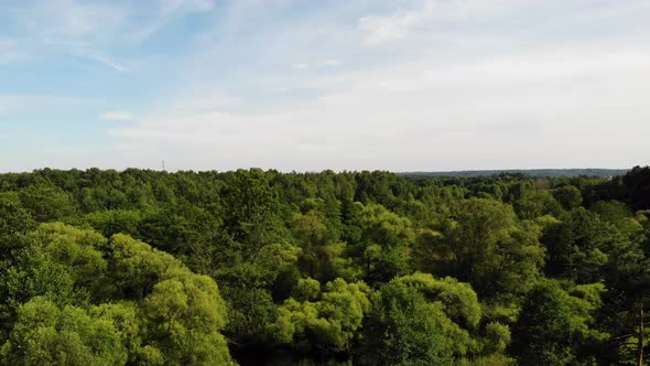 Meadows and Forests in the light of the setting Sun.