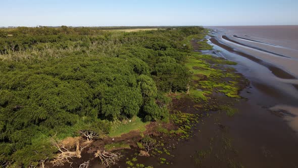 Forward aerial of green forest and sand banks by Rio de la Plata