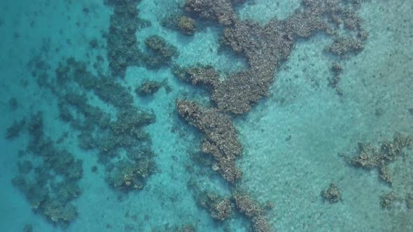 Aerial footage of the Coral Reef Nature Reserve, Eilat Israel.