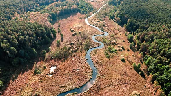 Swamps and small river in autumn. Aerial view of wildlife