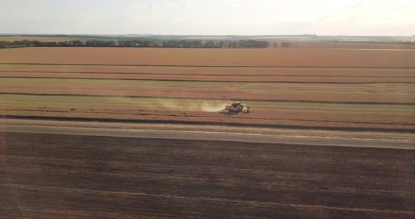 The Harvester Works On A Large Field Of Rapeseed In The Summer