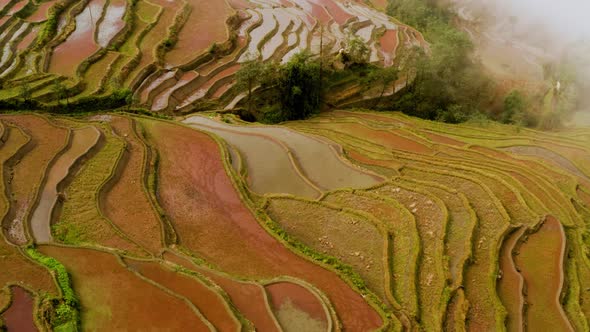 Aerial shot of the famous terraced rice fields of Yuanyang County China
