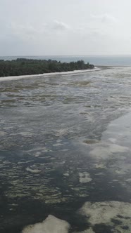 Vertical Video of Low Tide in the Ocean Near the Coast of Zanzibar Tanzania