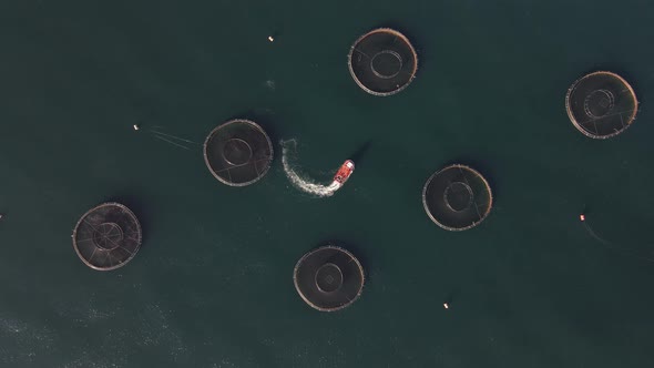 Fish Production Ponds In The Sea