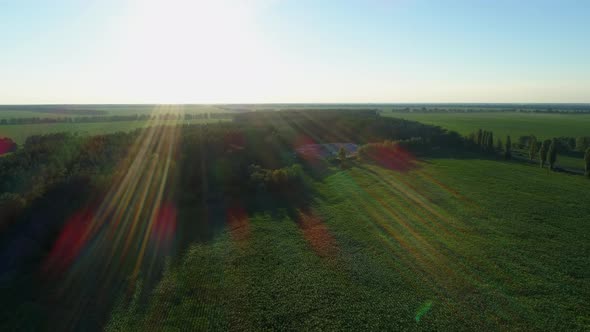 Aerial View Huge Rubbish Dump in Summer at Sunset or Sunrise Around the Forest