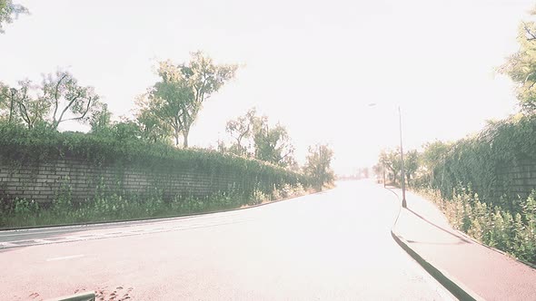 View of Empty Road with Lamp Post and Sunlight