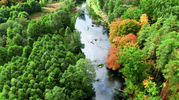 Aerial view of river in autumn forest, aerial view