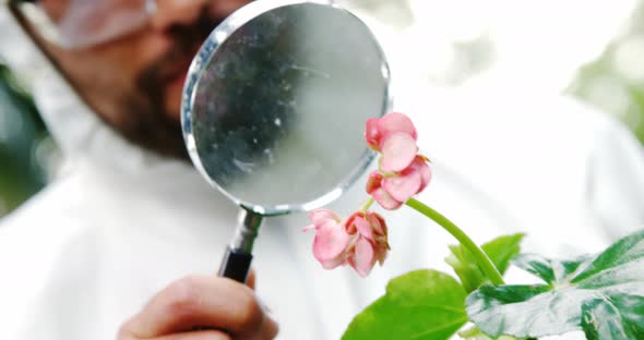 Man examining plant through magnifying glass