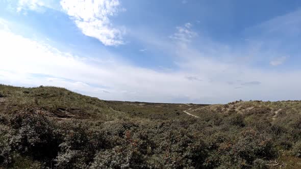 timelapse during dutch summer time in the dunes