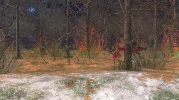 3d metaverse forrest