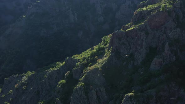 Griffon Vulture Followed By A Drone High Above Its Habitat 3