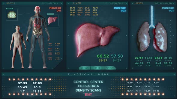 Liver, Lungs and Male Brains in Futuristic x Ray Scan