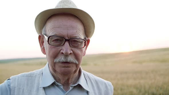 Senior Man Looking at Camera and Scratching the Back of His Head in Wheat Field