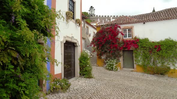 Red Flowers Growing on the Walls of House in Castle of Óbidos