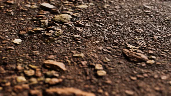 Closeup of Dirty Ground Road