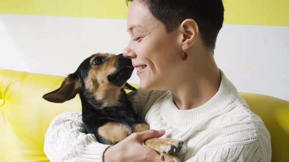 Dog licking female face. Girl hugging cute puppy.