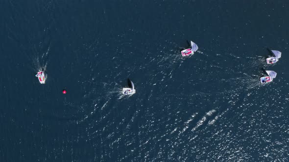 Aerial view of regatta of boats on blue lake