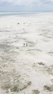 Vertical Video of Low Tide in the Ocean Near the Coast of Zanzibar Tanzania