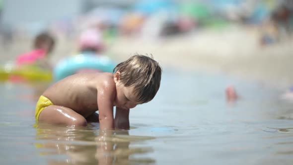 Kid Collects Shells and Pebbles in the Sea on a Sandy Bottom Under the Summer Sun on a Vacation