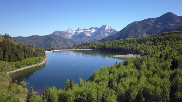 Aerial view of lake surrounded by green forest