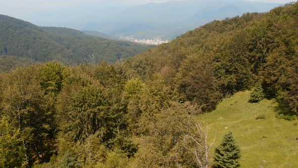 Aerial shot of a forest in Transylvania