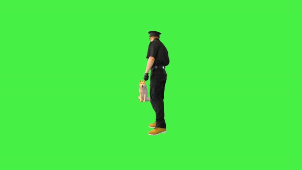 Policeman Calls His Husky Dog Pets and Hugs It on a Green Screen Chroma Key