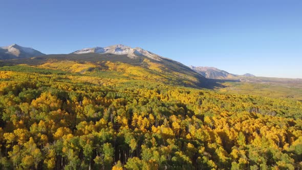 Fall colors in Crested Butte, Colorado