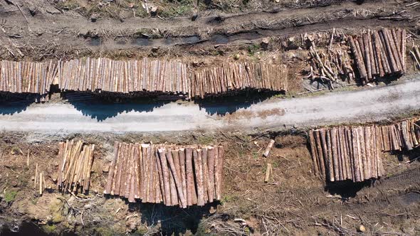 Timber Stacks Aerial at Bonny Glen in County Donegal - Ireland