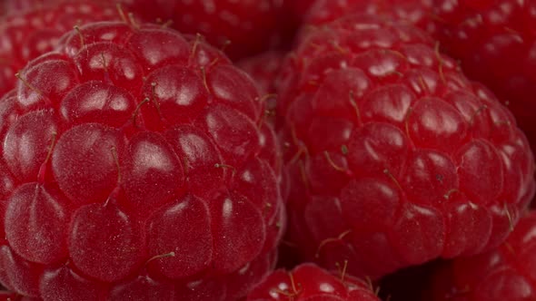 Raspberry Macro