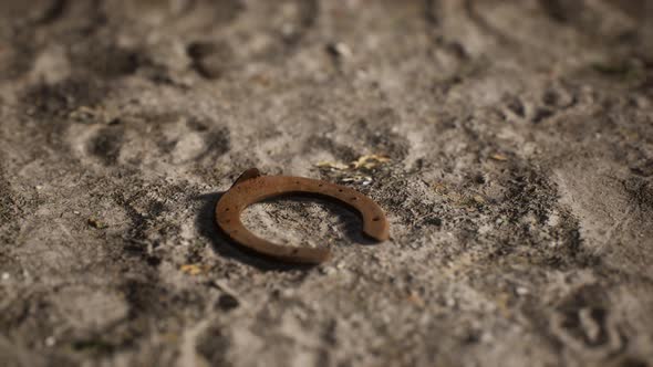 One Old Rusty Metal Horseshoe