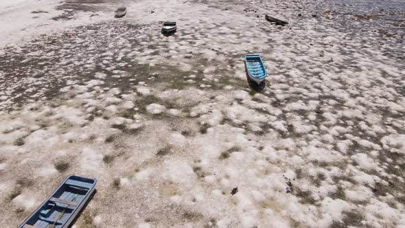 Ocean Low Tide Near the Coast of Zanzibar Island Tanzania