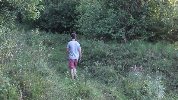 A man walks on a footpath in forest, daytime,  summer season. Young man filmed from behind while Wal