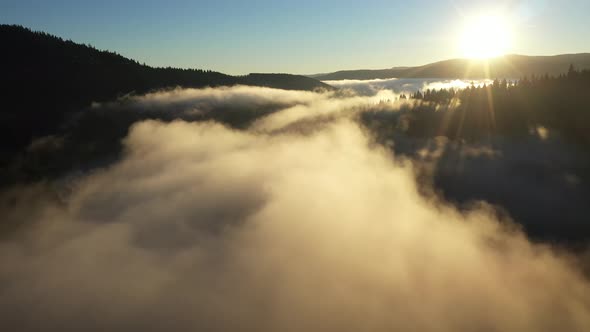 Aerial View of a Misty Lake. Dawn Dark Lights During Sunrise, Cold Weather