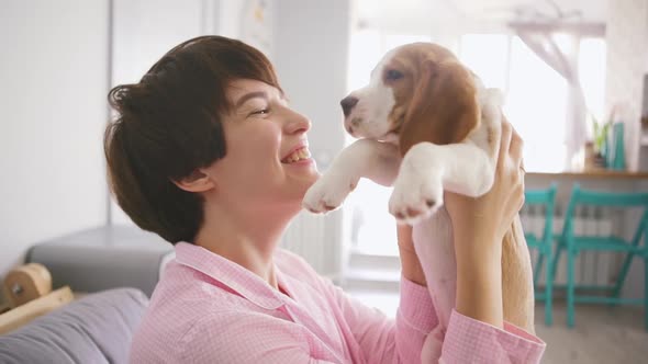 Close Up Footage of Happy Smiling Caucasian Femle Holding in Arms Little Beagle Puppy and Kissing