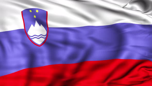 Slovenia Flag