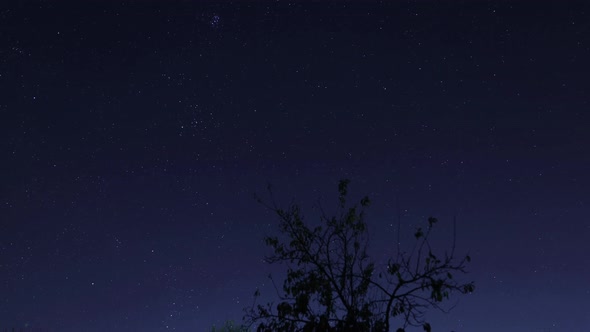 Milky way time lapse, star nightlapse with a blinking lights tree