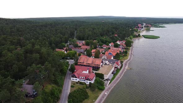 Coastal town Nida surrounded by dense conifer forest, aerial descend view