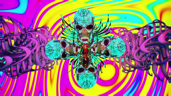 Spider And Skull Psychedelic Trip