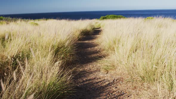 African american man cross country running in countryside by the coast