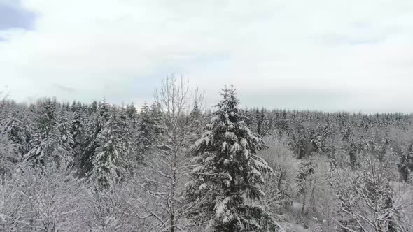 Ariel footage of snow covered landscapes.