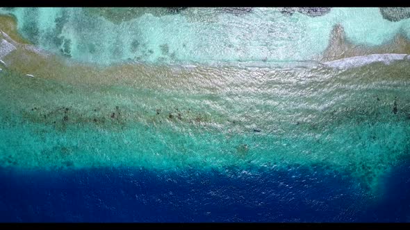 Aerial top down travel of marine coastline beach wildlife by blue ocean with clean sand background o