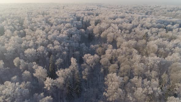 Winter Landscape Countryside