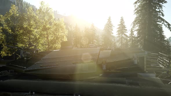 Old Rusty Tank in Forest alt