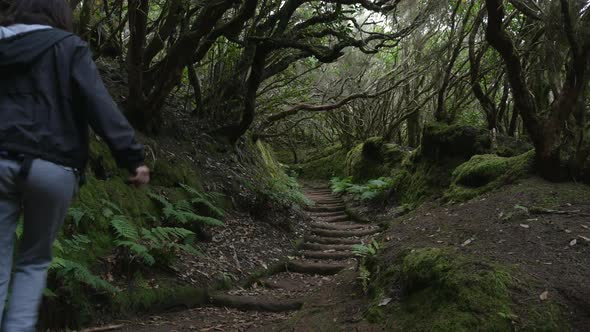 The Path of the Enchanted Forest