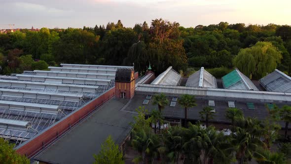 Metal fence palm trees greenhouse glass house. Dramatic aerial view flight rising up drone footage,