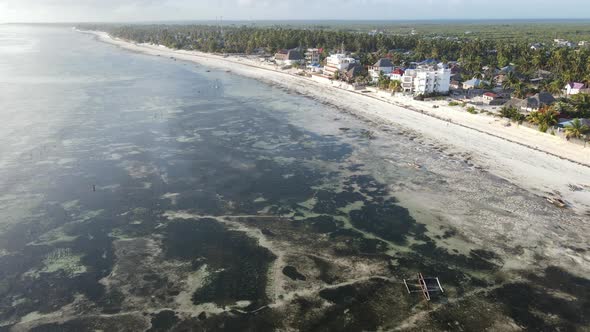 Shore of Zanzibar Island Tanzania at Low Tide