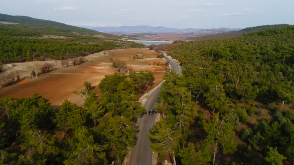 Road Forest Autumn