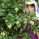 Girl dressed in cape hiding in bushes - VideoHive Item for Sale