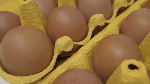 Free range eggs.For the uk market.